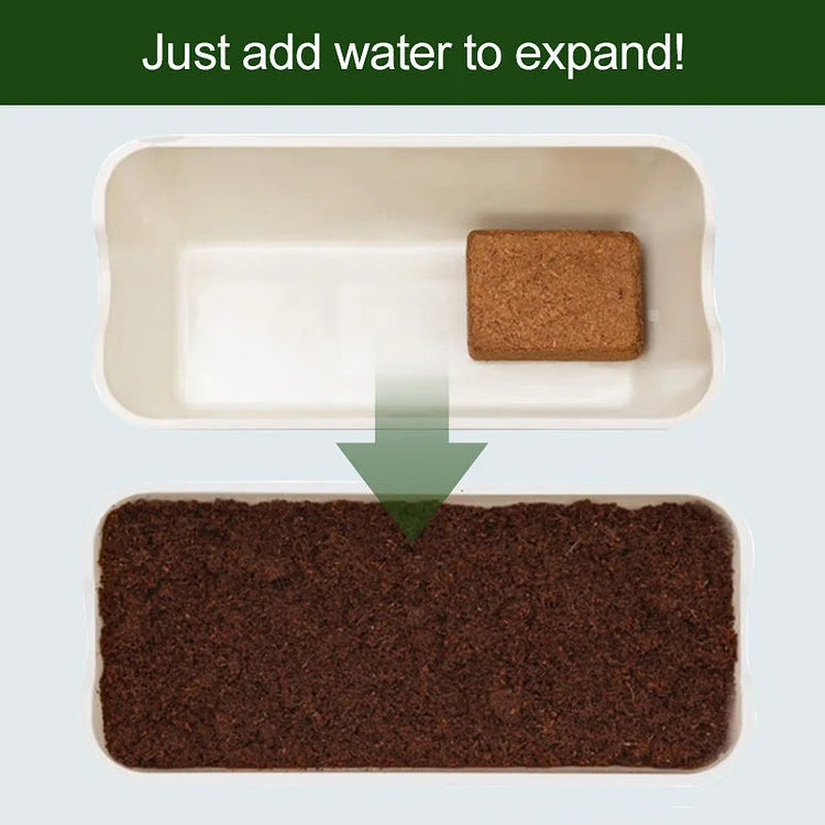 CocoBrick™ — Boost Growth with Natural Coconut Power | 50% Off