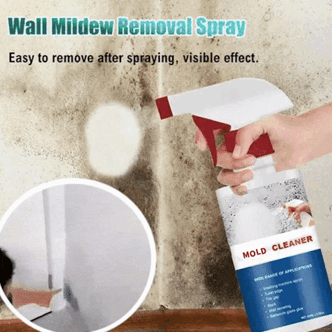 1+1 Free | AntiMold™ - Protect yourself and your health against toxic mold!