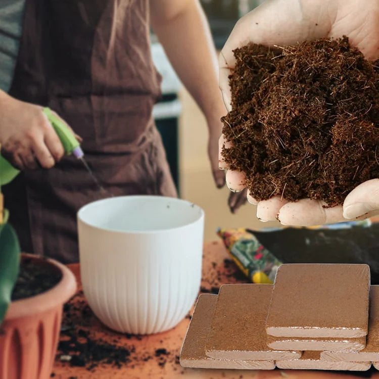 CocoBrick™ — Boost Growth with Natural Coconut Power | 50% Off