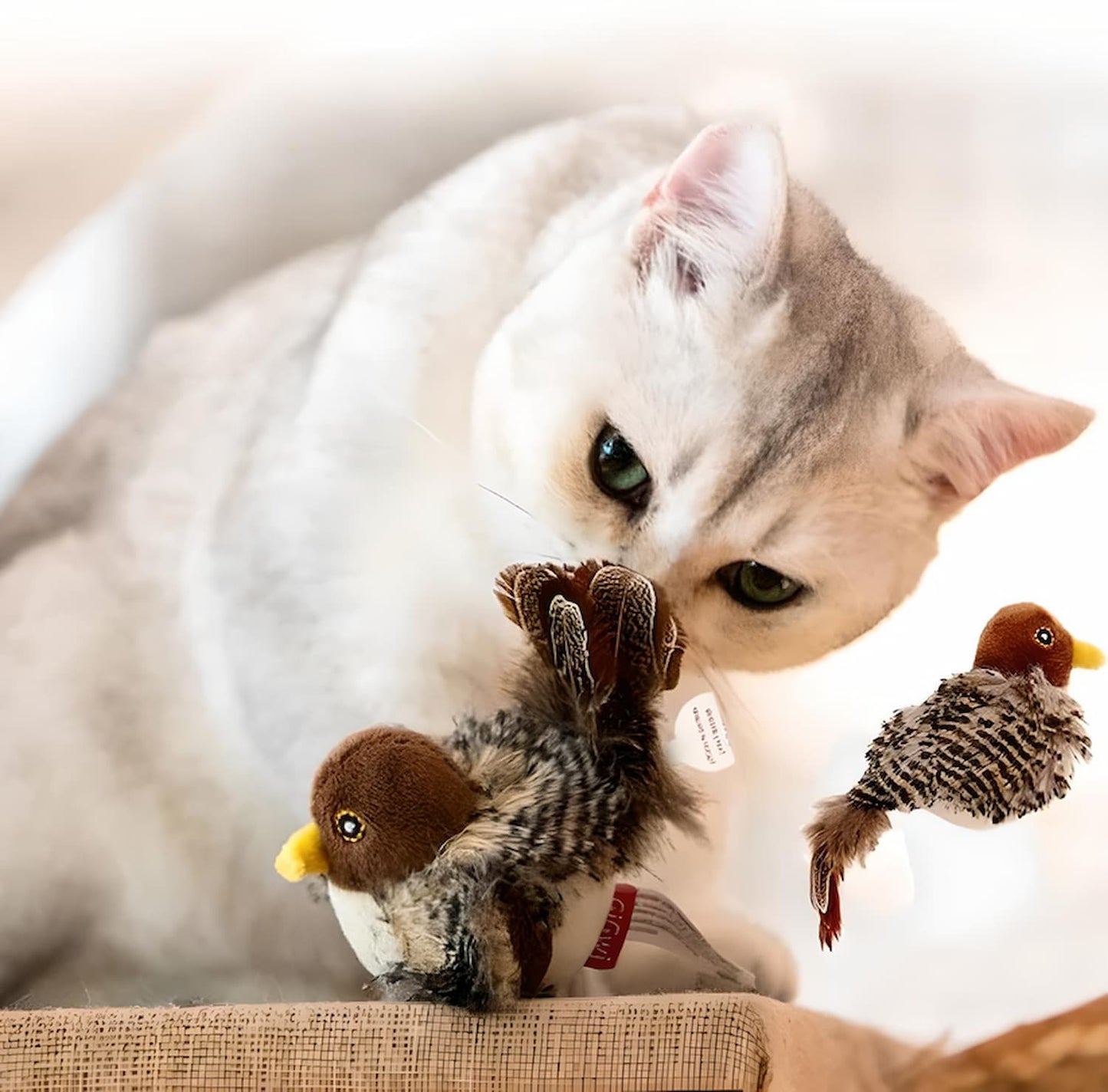FelineHunt | Awaken your cat's wild instinct!