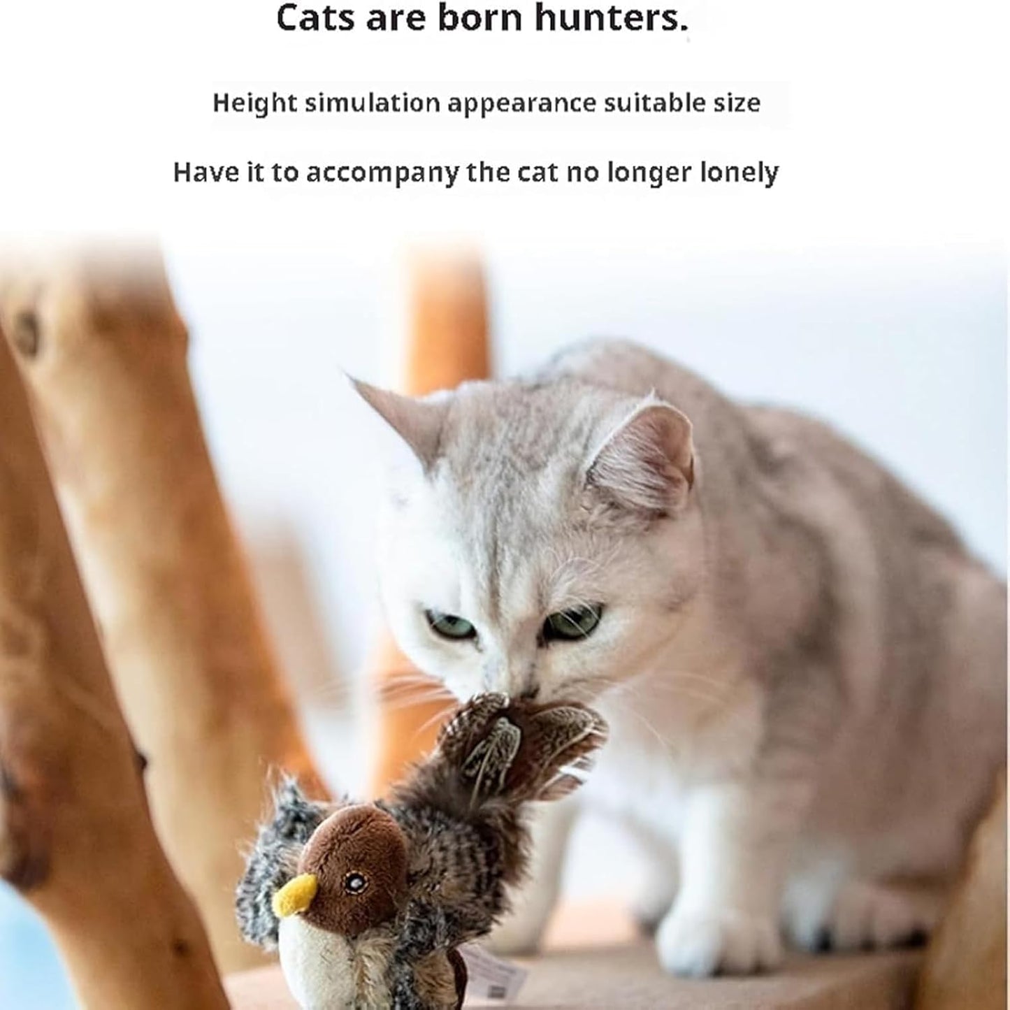 FelineHunt | Awaken your cat's wild instinct!