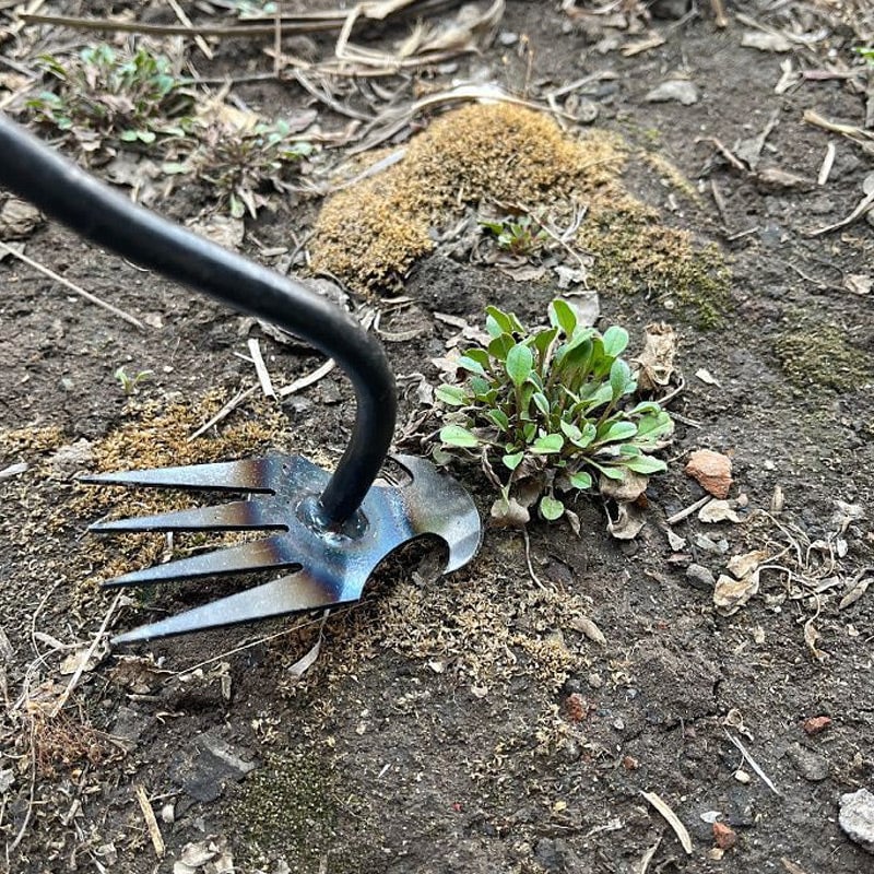 WeedMaster™ — Effortless Weeding, Zero Back Pain | 50% Off