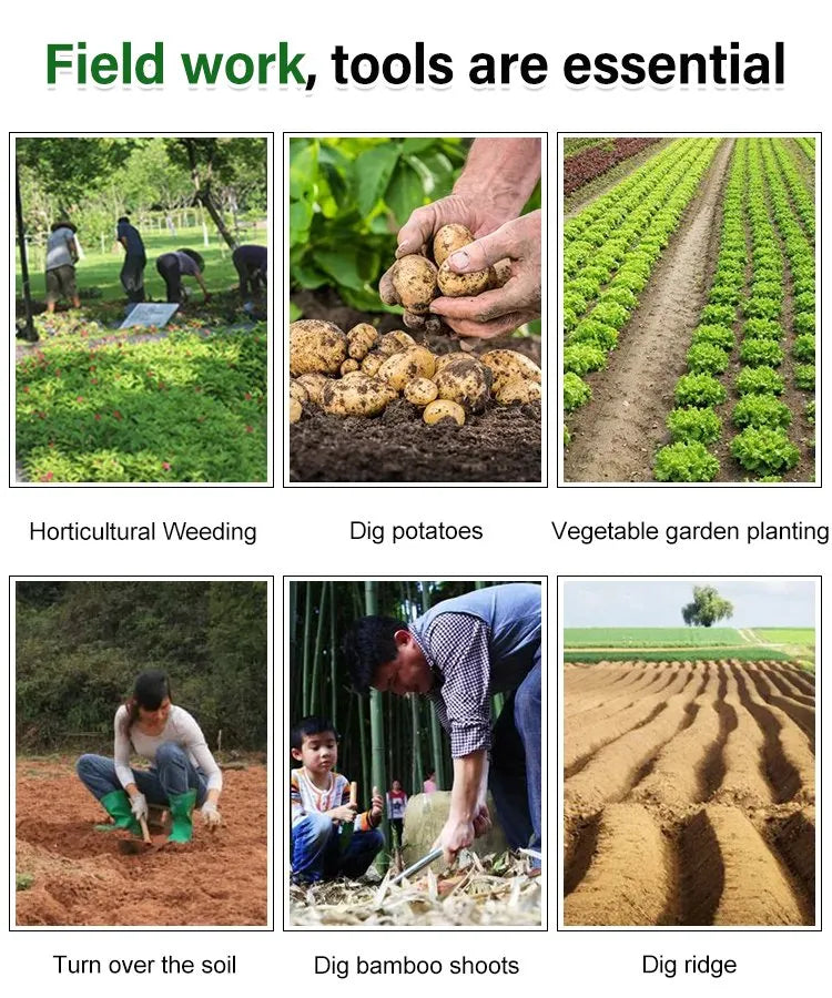 WeedMaster™ — Effortless Weeding, Zero Back Pain | 50% Off