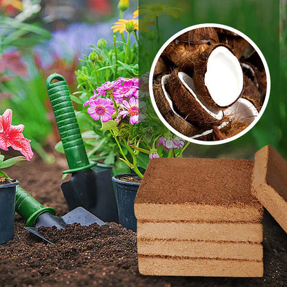 CocoBrick™ — Boost Growth with Natural Coconut Power | 50% Off