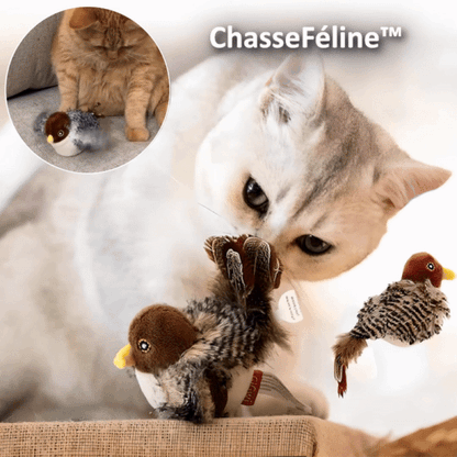 FelineHunt | Awaken your cat's wild instinct!