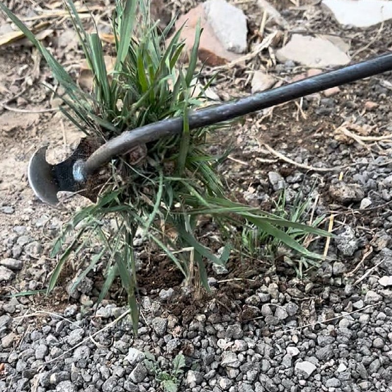WeedMaster™ — Effortless Weeding, Zero Back Pain | 50% Off